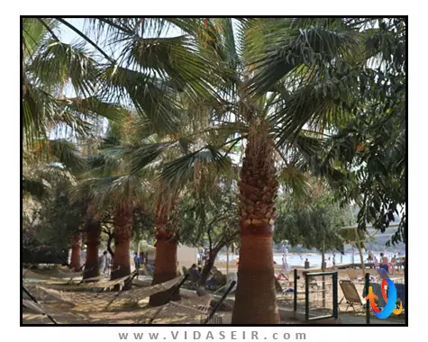 هتل-آکوا-فانتزی-آکواپارک-کوش-آداسی