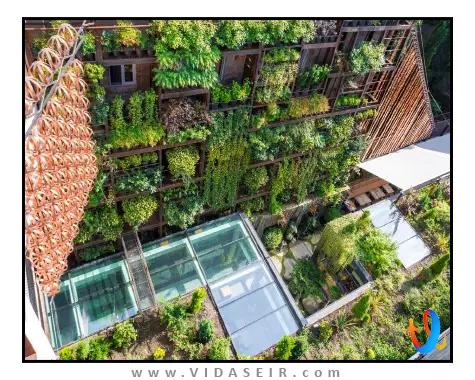 هتل-آیوتا-تفلیس