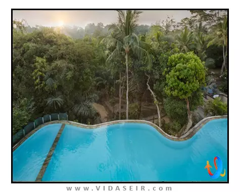 هتل-آیونگ-ریزورت-اوبود