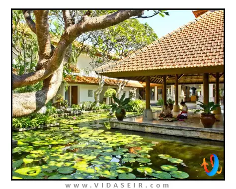 هتل-بالی-رانی