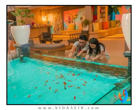 هتل-جی-فور-لوگیان-بالی