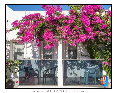 هتل-د-هلو-بدروم