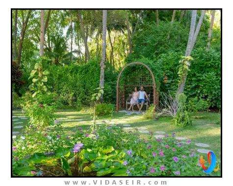 هتل-رویال-آیلند-ریزورت-اند-اسپا-مالدیو