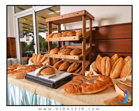 هتل-سیتیز-هیل