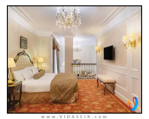 هتل-موزه-رسمی-آرمیتاژ-استیت-سنت-پترزبورگ