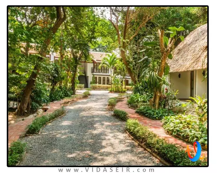 هتل-مونترا-پاتایا