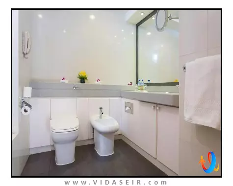 هتل-میلینیوم-پلازا-داون-تاون-دبی