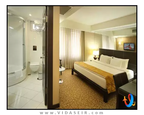 هتل-کارتون-استانبول