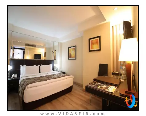 هتل-کارتون-استانبول