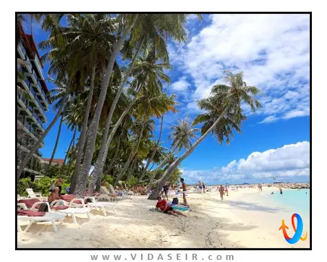 هتل-کانی-گرند-سی-ویو-مالدیو